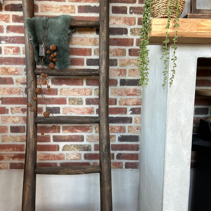 Houten Ladder 1