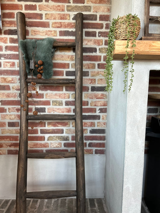 Houten Ladder 1