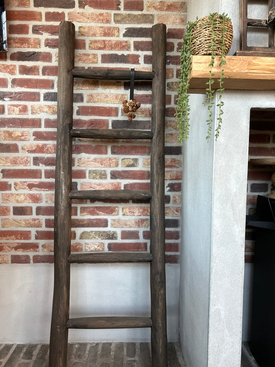 Houten Ladder 2