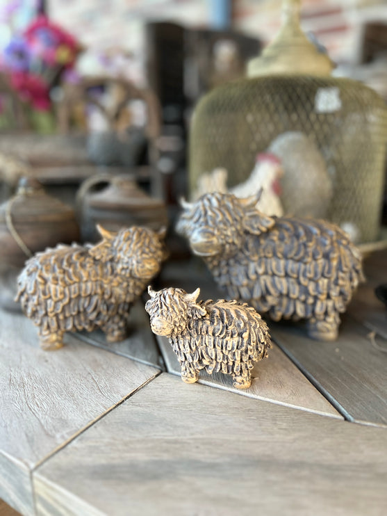|Stenen Hooglander Ruw L