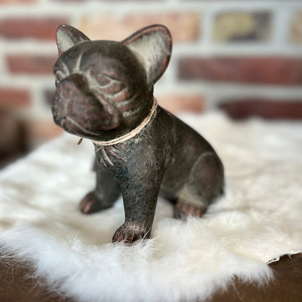Beeld Hond