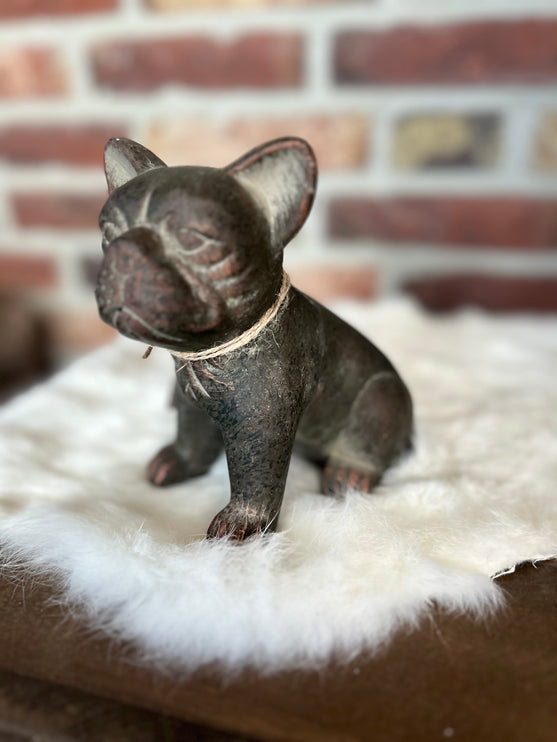Beeld Hond