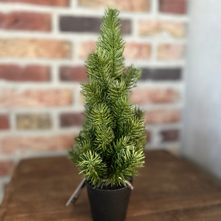 Kerstboompje Pinus