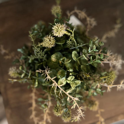 Bol Hedera