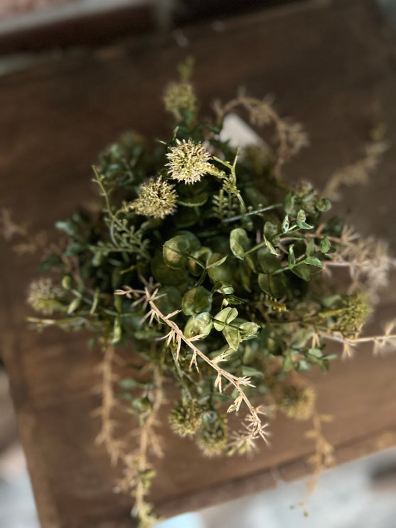 Bol Hedera
