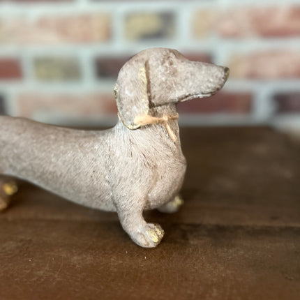 Tekkel met goud detailles