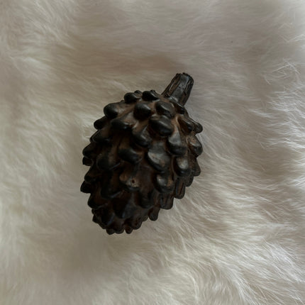 Dennenappel S