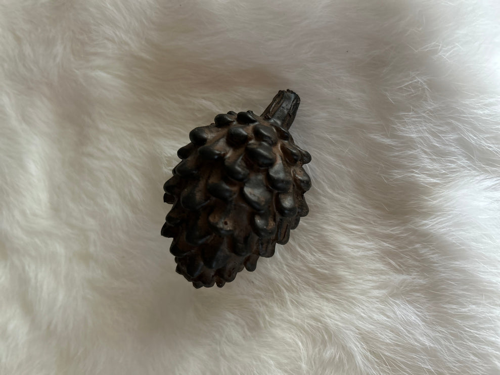 Dennenappel S