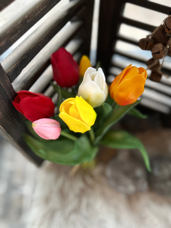 Bosje tulpen - roze/rood/geel