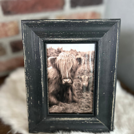 Schilderij Schotse Hooglander