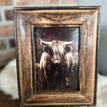 Schilderij Schotse Hooglander