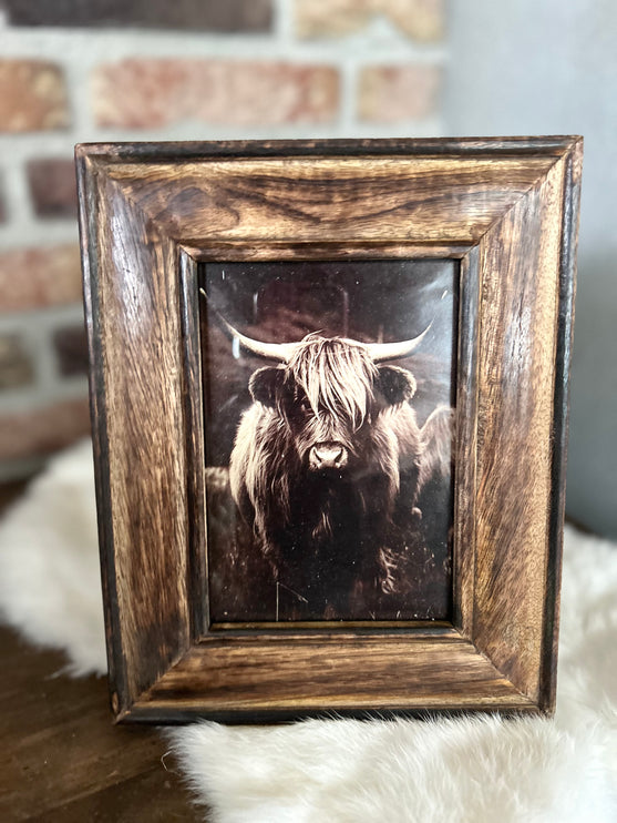 Schilderij Schotse Hooglander