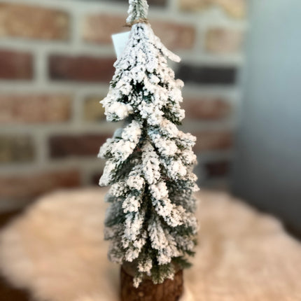 Kerstboom