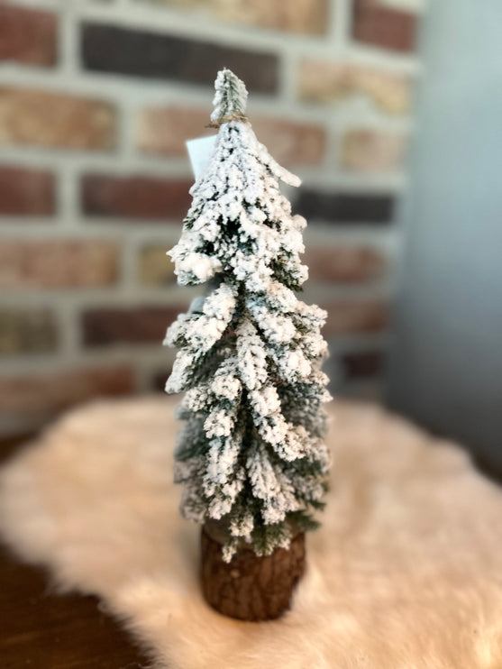 Kerstboom