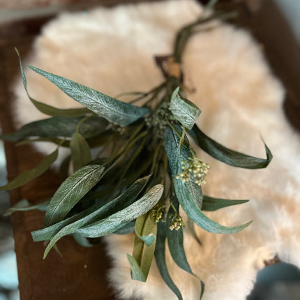 Eucalyptus Bush