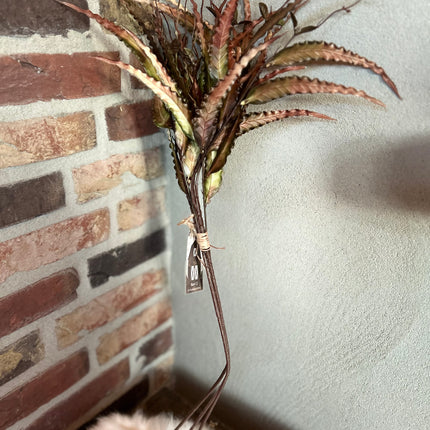 Carved Euca Bush