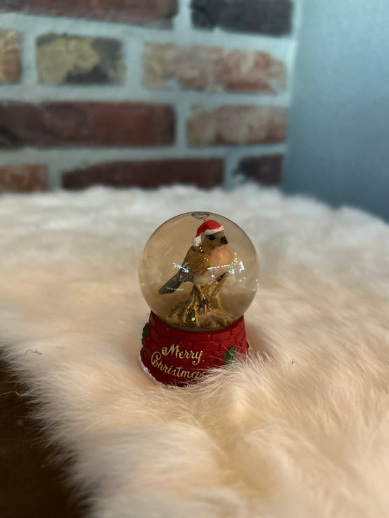 Vogeltje in Sneeuwbol