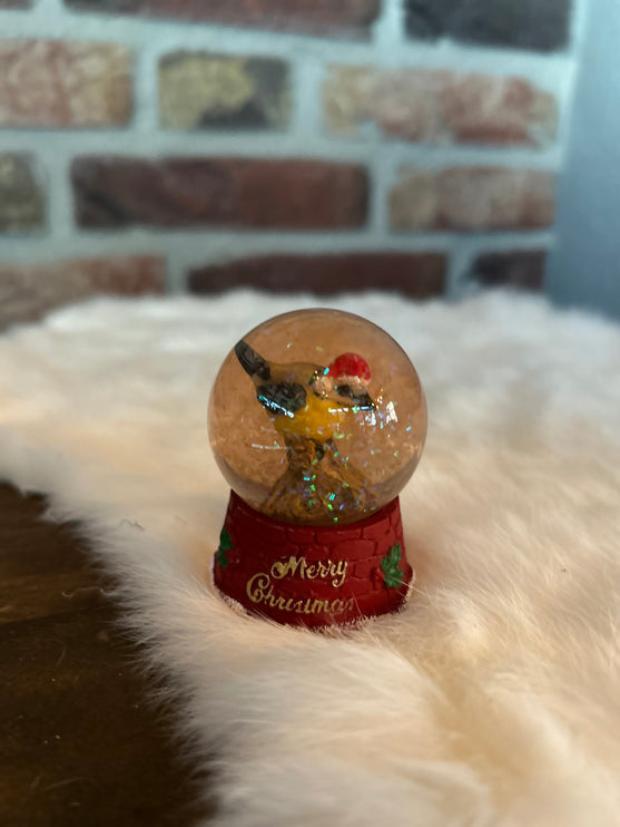 Vogeltje in sneeuwbol