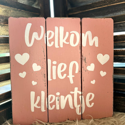 tekstbord 20x20cm welkom lief kleintje baby roze
