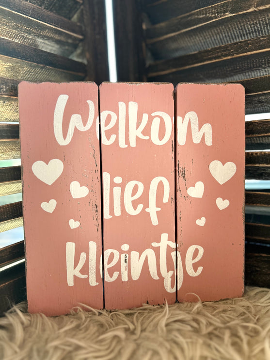 tekstbord 20x20cm welkom lief kleintje baby roze