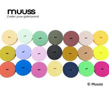 Ijsvogel aan de muur