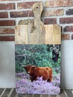 Serveerplank met foto-opdruk Schotse Hooglander - maat 35 x 70 cm